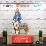 zwolle 2015: candy: BEST OF BREED and 6th BIG 
